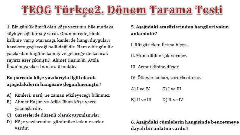 8. Sınıf Türkçe Tarama Testi (2)