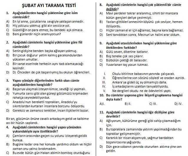 8. Sınıf Türkçe Tarama Testi (Şubat Ayı)