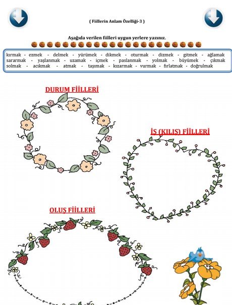 fiillerin anlam özelliği-2 çalışma kağıtları