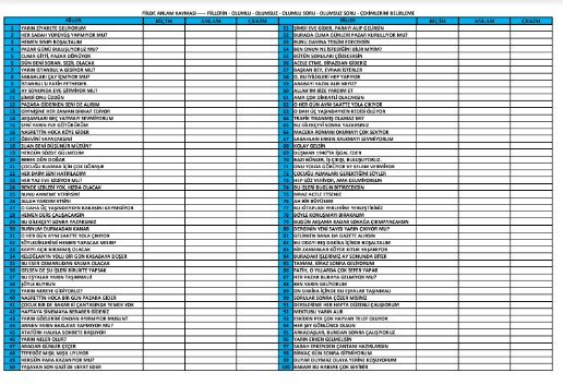 ANLAM KAYMASI 100 CÜMLE çalışma kağıdı