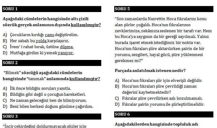 6. Sınıf Türkçe Dememe Sınavı (2)