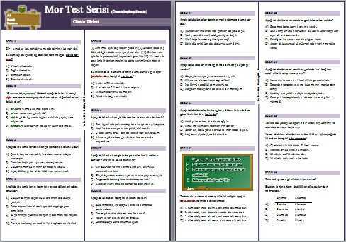 8. Sınıf Mor Test Serisi: Cümle Türleri