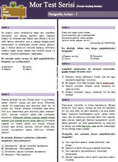 8. Sınıf Mor Test Serisi: Paragrafta Anlam 1