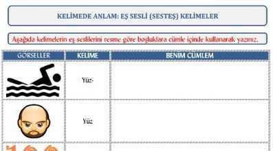 Eş Sesli (Sesteş) Kelimeler Çalışma Kağıdı