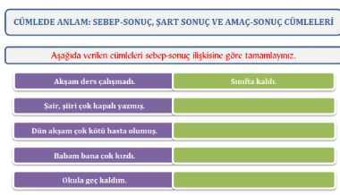 Sebep-Sonuç, Şart Sonuç Ve Amaç-Sonuç Çalışma Kağıdı