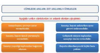 Zıt Anlamlı Cümleler Çalışma Kağıdı