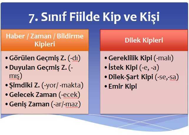 Fiilde Kipler Sunusu