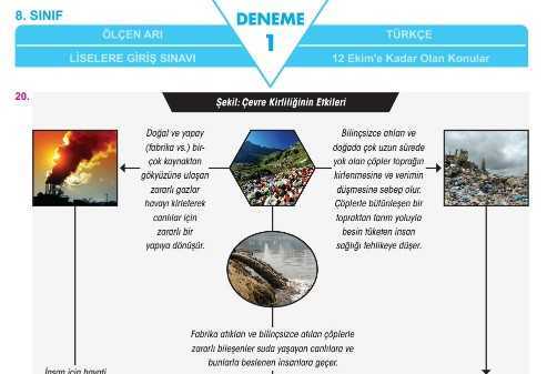 LGS Deneme Sınavı – Arı Yayınları