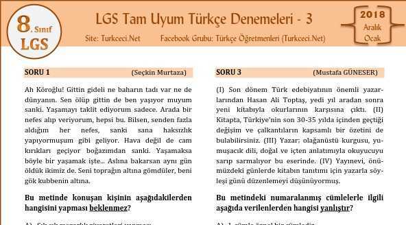 Tam Uyum Türkçe LGS Deneme Sınavı – 3