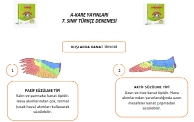 A-Kare Yayınları 7. Sınıf Türkçe Paragraf Denemesi