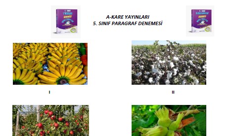 A-Kare Yayınları 5. Sınıf Paragraf Denemesi