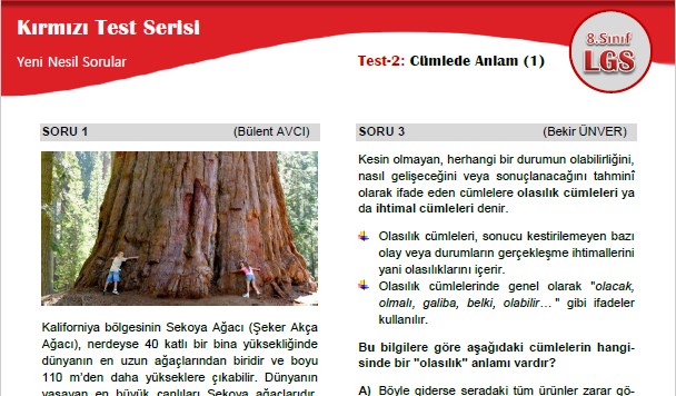 Cümlede Anlam (1) – Kırmızı Test Serisi