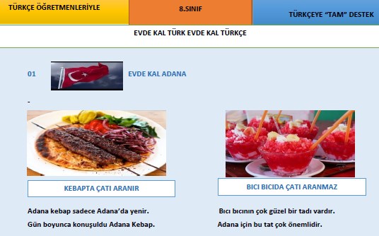 Evde Kal Türkiye LGS Türkçe Denemesi (Metin Mete)