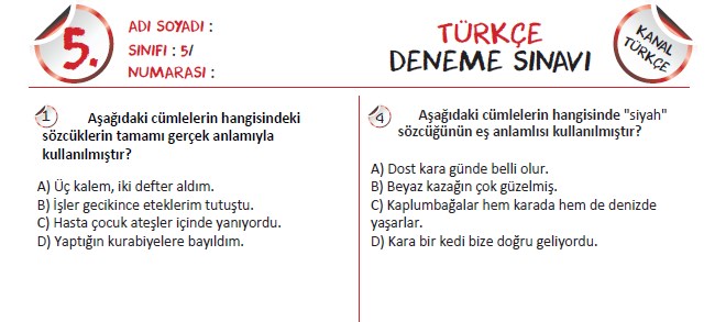 5. Sınıf Türkçe Deneme Sınavı – 2 (Kanal Türkçe)