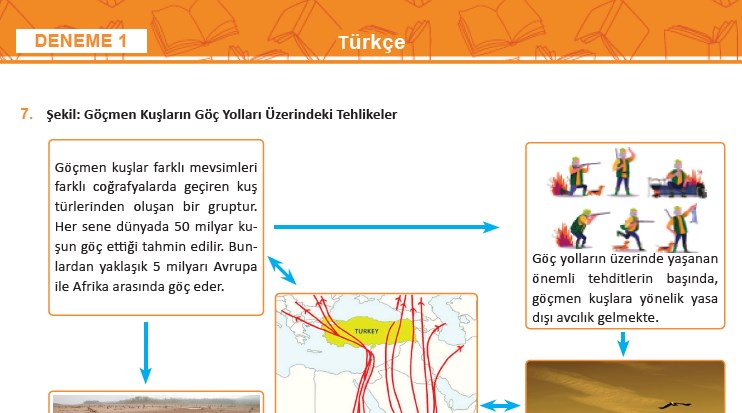 Gama Okul Yayınları LGS Denemesi